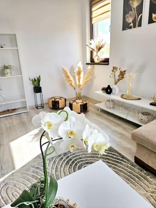 Cozy Sorada 1 Apartment Bragadiru Extérieur photo